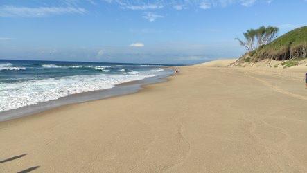 WhatsApp Image 2024-10-04 at 14_44_19_ec14ff65 - C